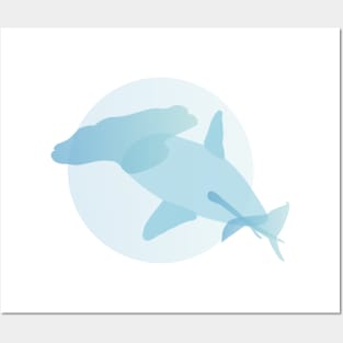 Ocean life- Shark Posters and Art